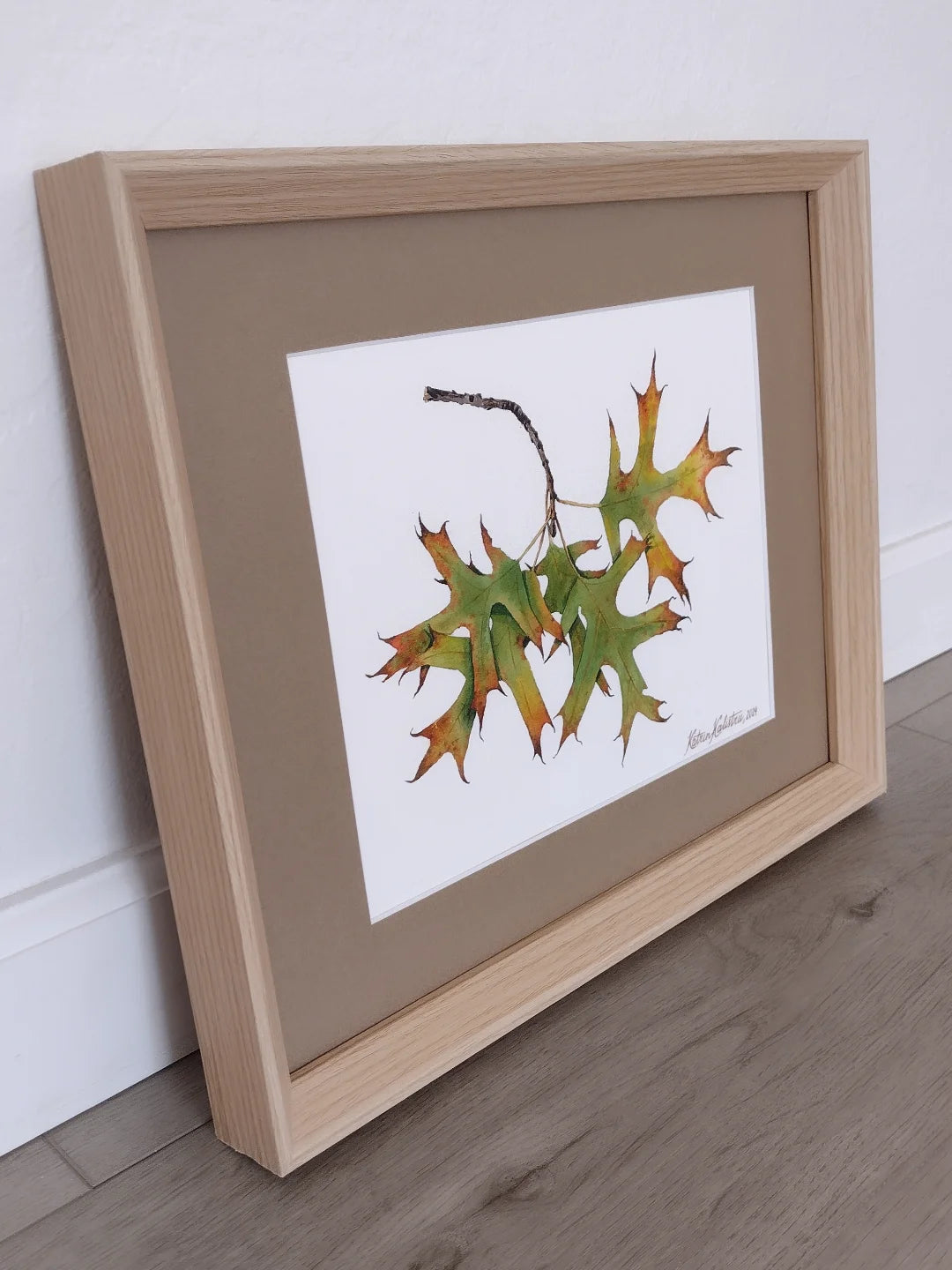 Oak leaves in fall