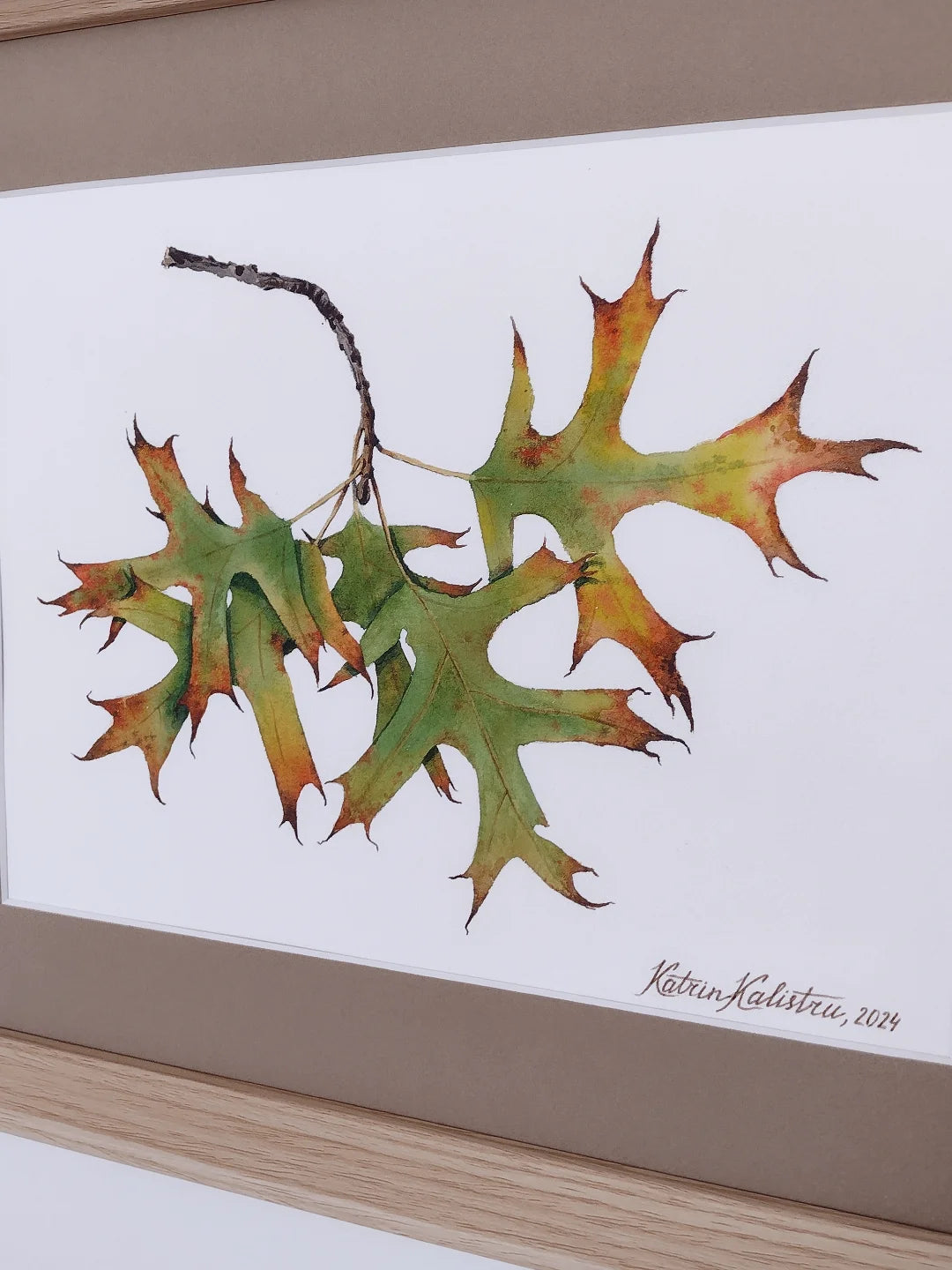 Oak leaves in fall