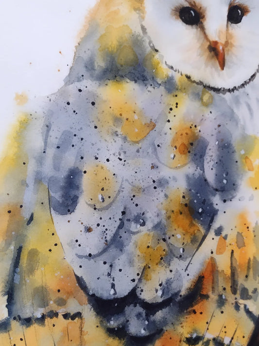 Barn Owl