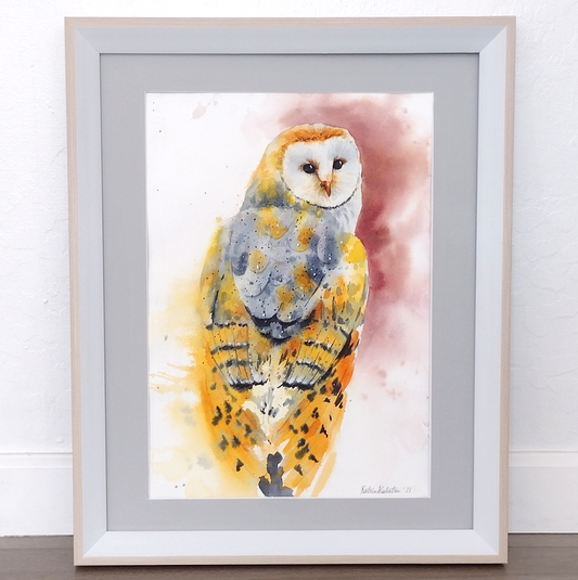 Barn Owl