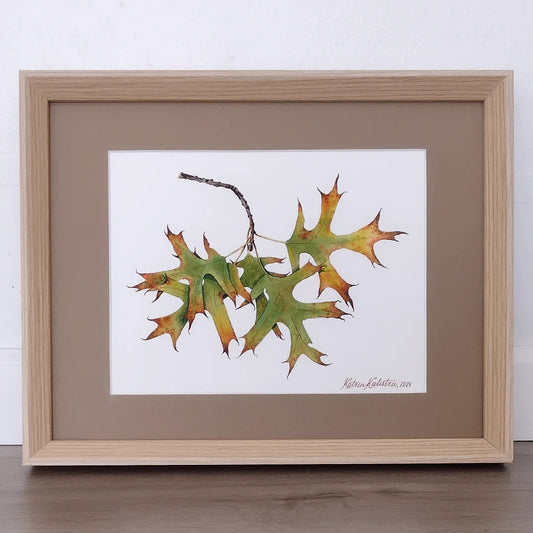 Oak leaves in fall